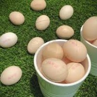 Telur Ayam Kampung